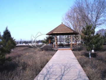 湿地公园竹子凉亭