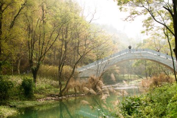 秋天风景