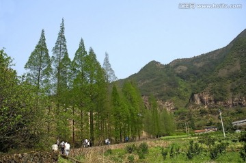 兰溪芝堰水库农田和水杉林