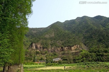 兰溪芝堰水库水杉农田