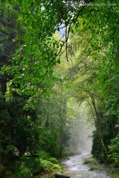 森林小溪