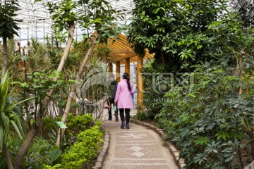 石家庄植物园 游人