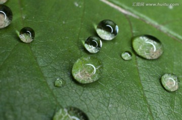 水珠