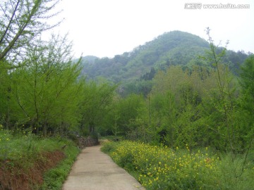 通向山里的路