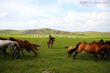 草原牧场套马