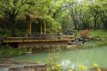 磨山风景