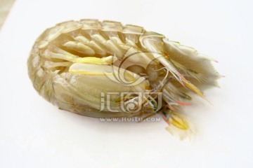 皮皮虾 虾蛄 海鲜