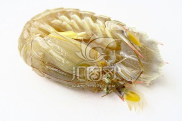 皮皮虾 虾蛄 海鲜