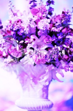 花高清jpg