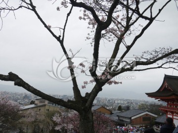 清水寺