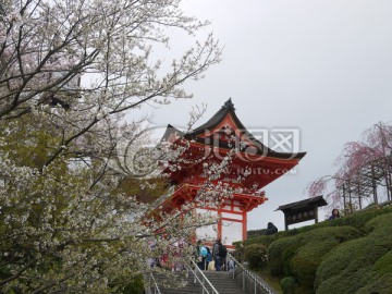 清水寺