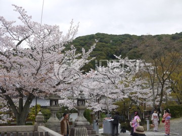 清水寺