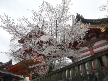 清水寺