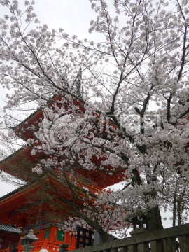 清水寺