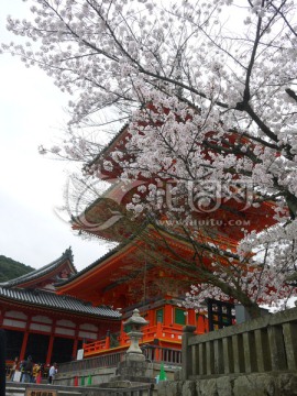 清水寺