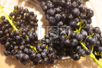 澳洲黑葡萄