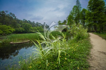 华南植物园