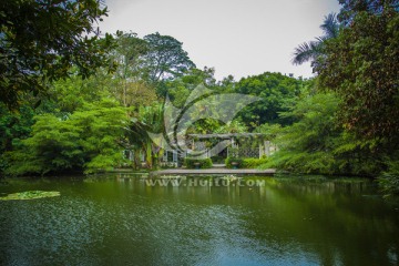 华南植物园