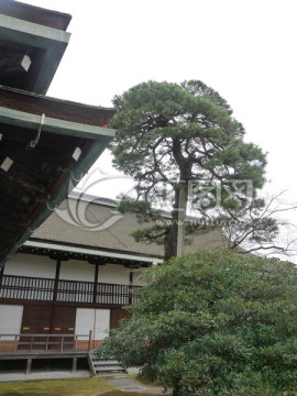 京都御所