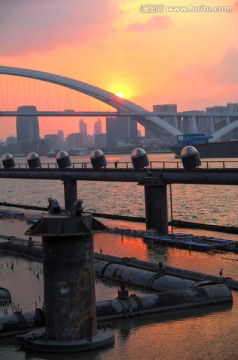 卢浦大桥夕阳