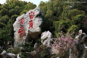 牡丹园风景