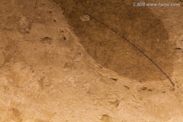 叶子化石
