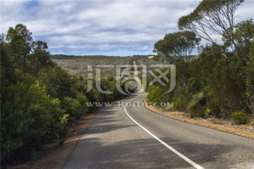 澳洲阿德莱德热带雨林公路风光