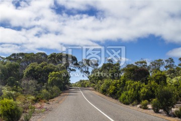 澳洲袋鼠岛热带雨林公路风光