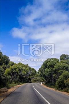 澳洲热带雨林公路弯道