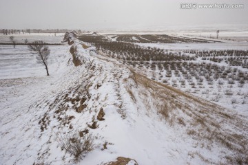 大同土长城 田野 庄稼地 残破