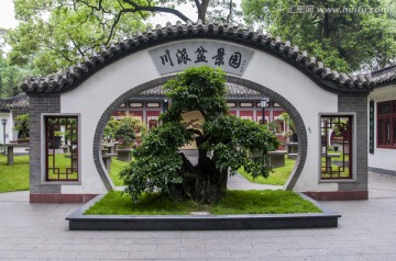 成都百花潭公园川派盆景