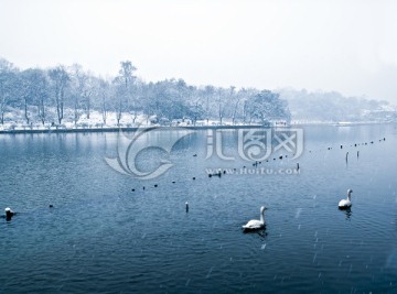西湖雪景