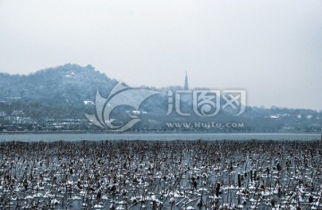 杭州西湖雪景