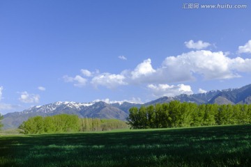 田野