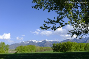 田野