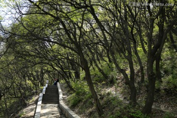 嵩山风光