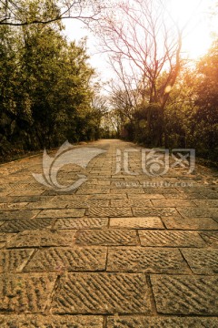 公路