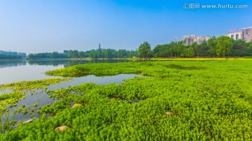 双流湿地公园