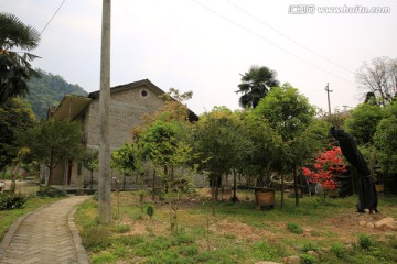 农家小院