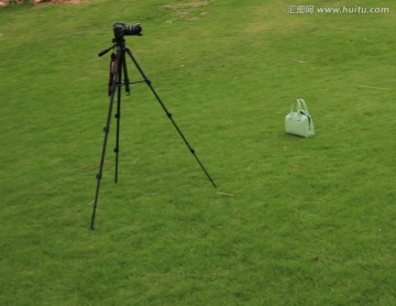 青草地上的照相机三角架女包