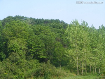 山林