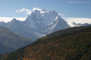 稻城三神山 森林 四川