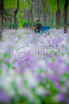 晚年生活
