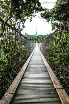 三亚亚龙湾森林公园吊桥