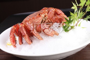 冻食红毛蟹