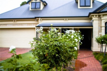 澳大利亚阿德莱德的私人花园洋房