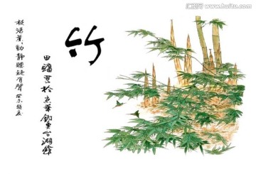 花盆素材 竹子 通道分层