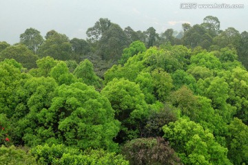 水濂山森林公园