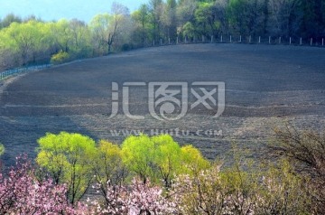 春天的田野