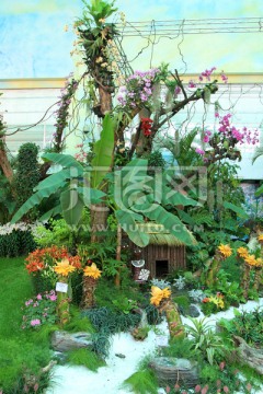 热带植物温室